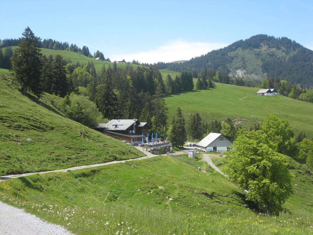 Montlinger Schwamm Hotel Oberriet Exterior foto